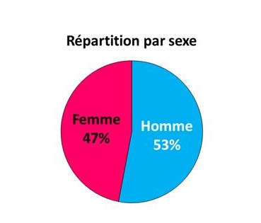 Graphique des répartitions par sexe